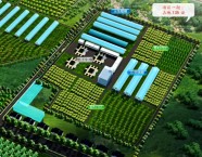 “小农水”引来致富活水 潍坊这里的低效农田变身高效农业典型