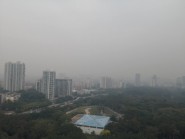 海丽气象吧丨潍坊发布大雾黄色预警信号 临朐昌邑能见度低于500米