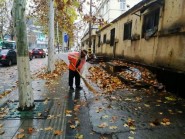 落叶袭城 潍坊环卫工冒着严寒一天工作超过10小时