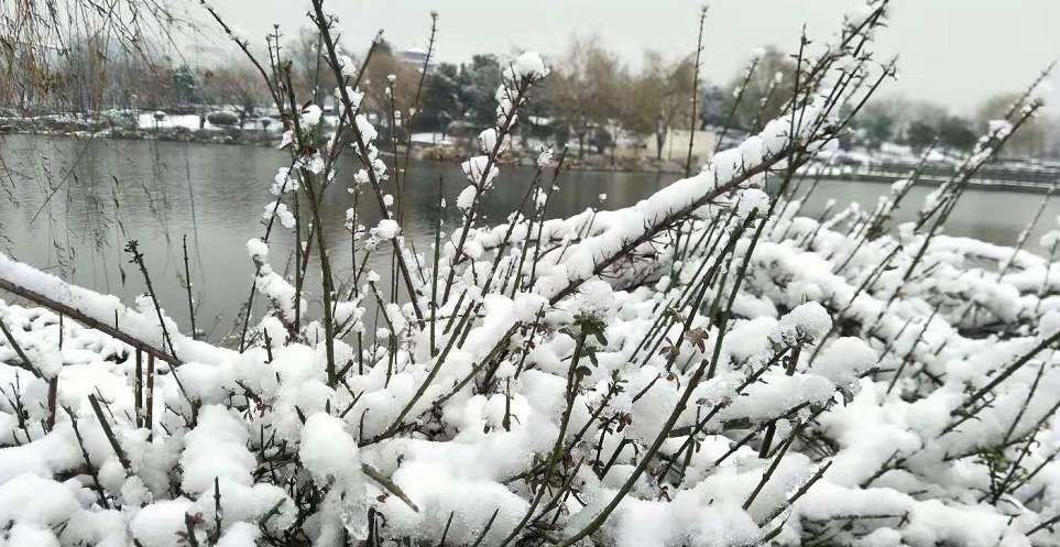枣庄平均降雪量4.6毫米 12日最低温度将达-8℃