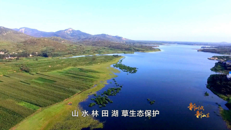 碎石清理、河流自净…129秒视频揭秘泰山生态保护修复工程