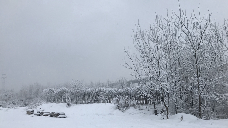 烟台潍坊已大雪漫天 “神秘”的济南降雪你看到了么？