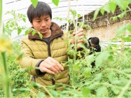 763家！潍坊公布农业产业化市级重点龙头企业监测评定合格公示名单