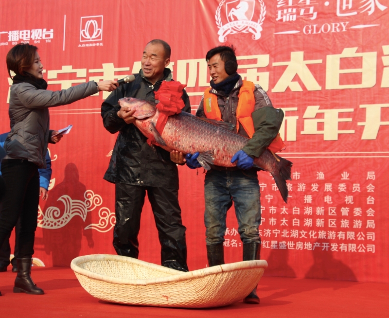 济宁市第四届太白湖捕鱼节开幕 头鱼重达81.8斤