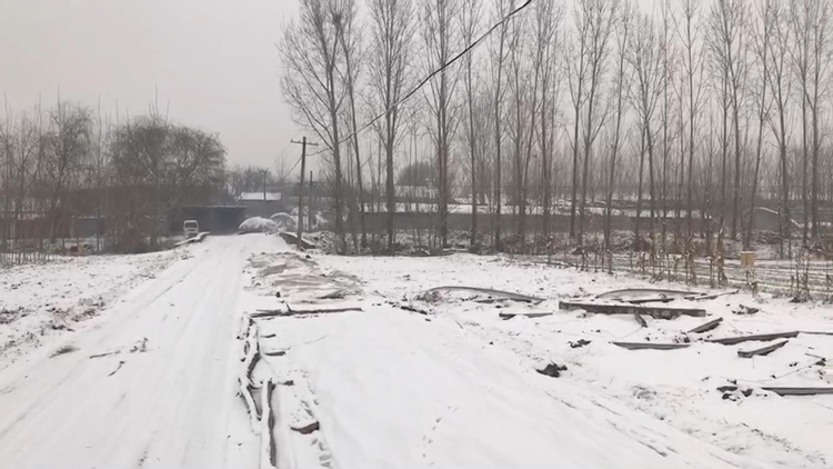 34秒|“瑞雪兆丰年”潍坊迎来2019年第一场雪
