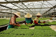 这50名专家荣膺潍坊“最美基层农技员”平均从事农技推广服务23年
