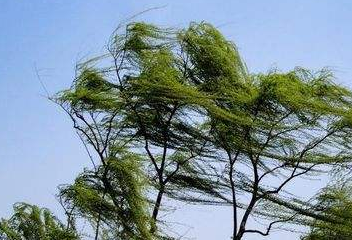 海丽气象吧丨惠民发布大风蓝色预警信号 阵风6～7级