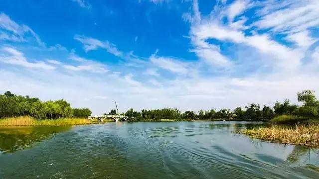 济西湿地公园将于今年五一正式开放