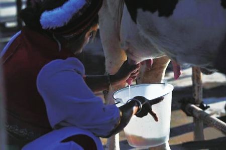 2018年山东肉蛋奶总产量达1521万吨全国领先