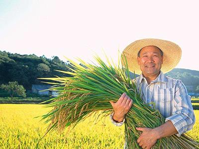 滨州：去年1124人获得新型职业农民资格证书