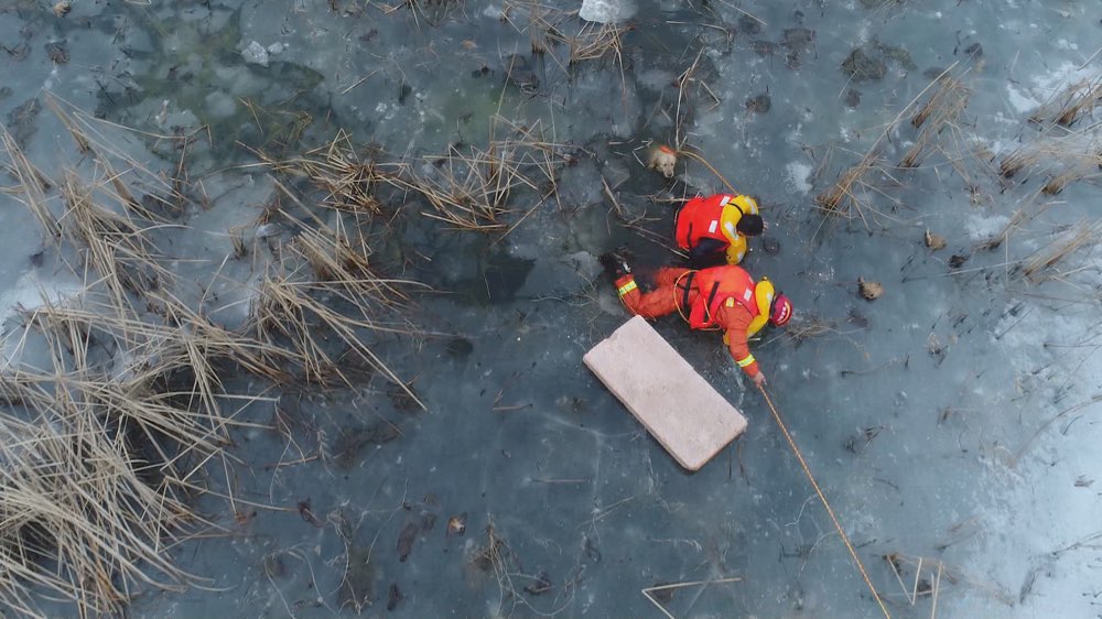 潍坊一男子为找宠物狗被困湿地孤岛 消防用无人机施救