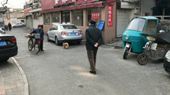 【曝光台】遛狗不拴绳频频引发暴力冲突 济南街头类似不文明现象仍然存在