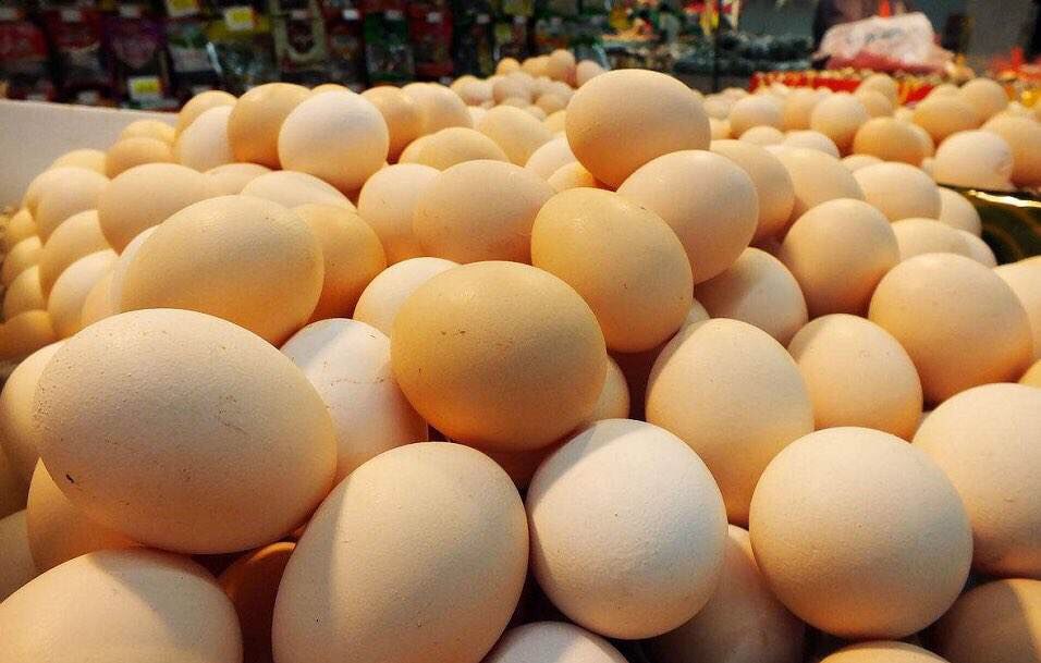 春节过后鸡蛋降价明显 济南部分超市进入“3元时代”