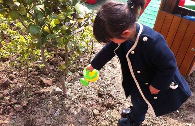 潍坊今年开放17处义务植树基地 市民可免费参与植树活动