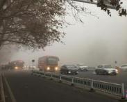 海丽气象吧丨潍坊发布大雾黄色预警 局地能见度不足200米
