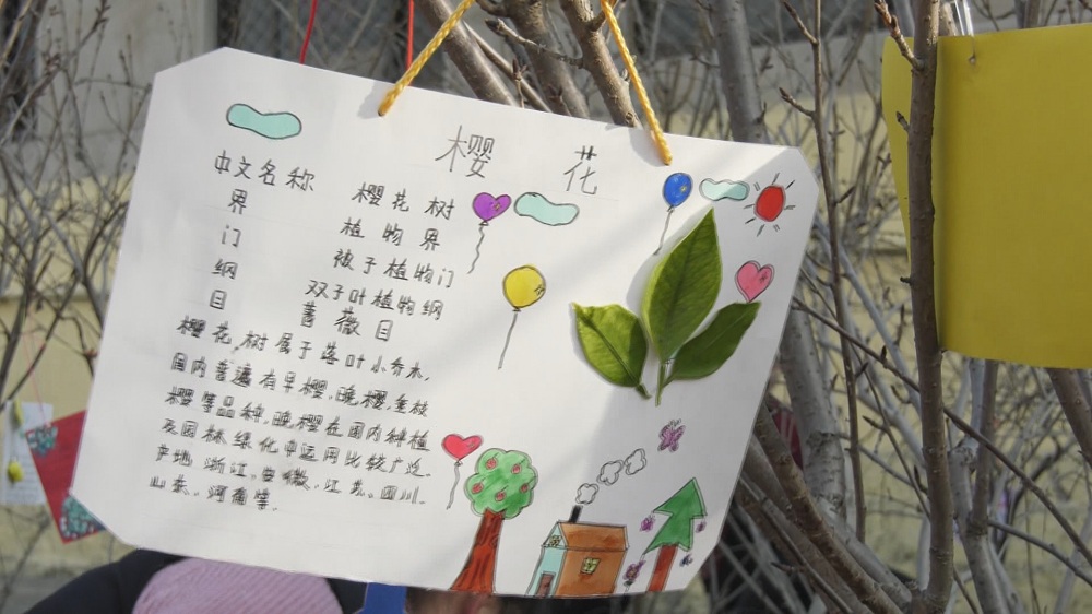 教师潘玉英说:"希望通过这次活动使同学们增加对植物生长知识的了解