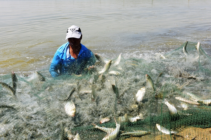 山东省全国渔业执法工作先进集体和先进个人正式推荐名单公示