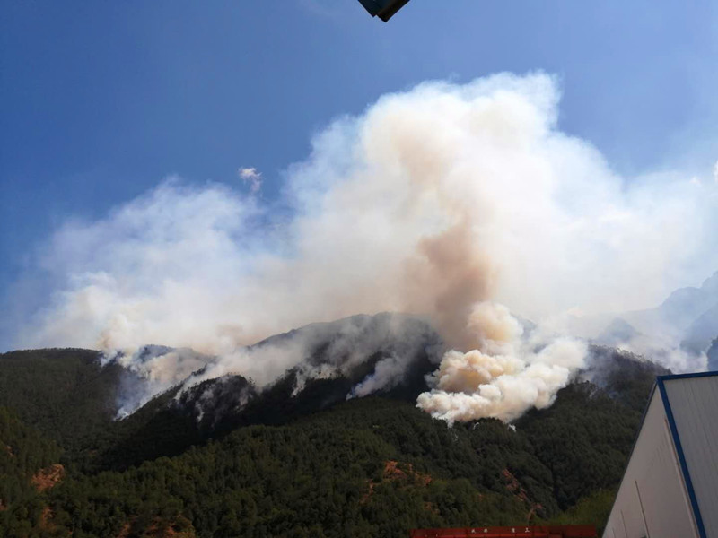 凉山州冕宁县发生森林火灾 过火面积19公顷近500人扑救