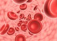 让血脉相融！滨城区红十字会发布造血干细胞血样采集倡议书