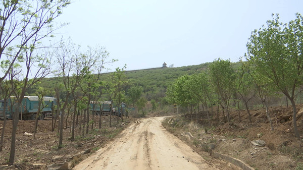 济南市中区渣土山已清运6560立方米渣土 复绿设计规划方案初步确定