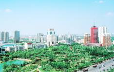 淄博：以严实标准抓好环境综合整治 着力提升现代化组群式大城市品质形象