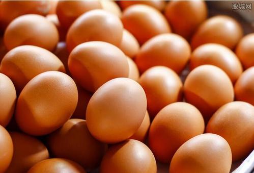 邹平市试点推行鲜鸡蛋“双证制” 第二批办证养殖场户名单公示
