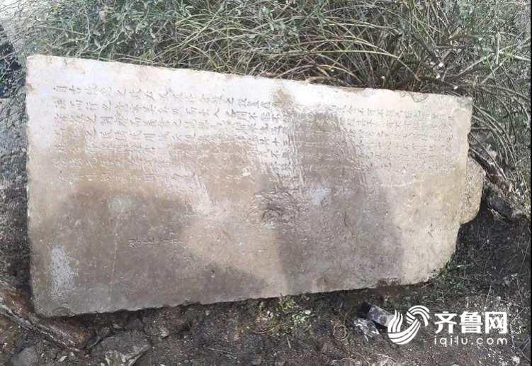 19fdbdd4c827bbb4792e99c741409e44.jpg 微信图片_20190424222716_conew1.jpg