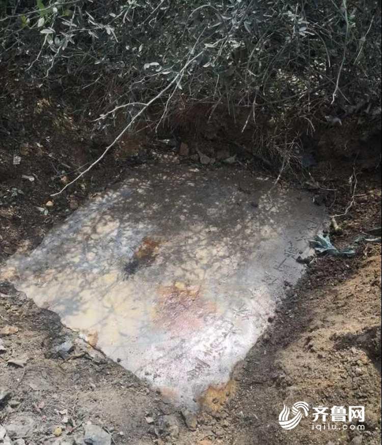 f5798c613b6e57d941448bf25f37b708.jpg 微信图片_20190424222720_conew1.jpg