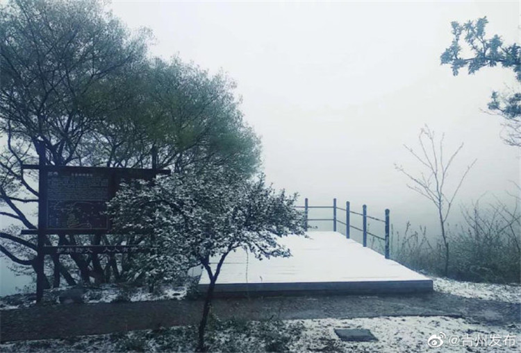 “阳春白雪”最美潍坊四月天 青州仰天山、临朐沂山迎来降雪