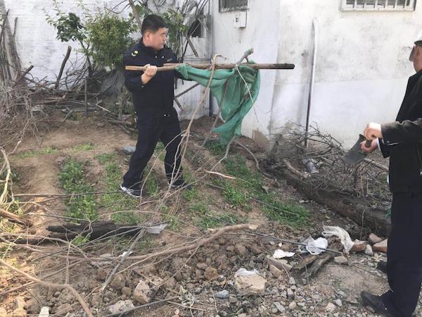 济南：王官庄铁路两侧违规菜地被清 污水灌溉谁敢吃？