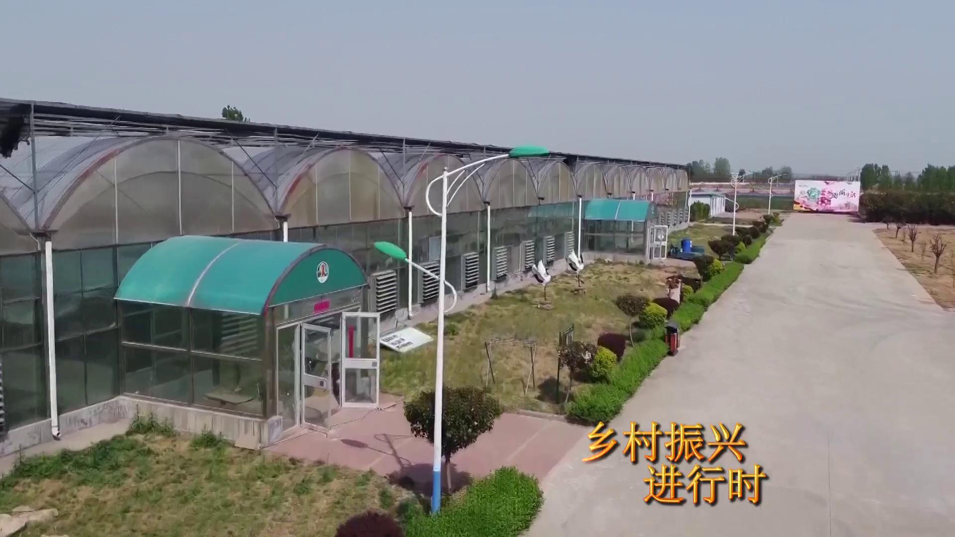 广饶设施农业叩响农民致富门
