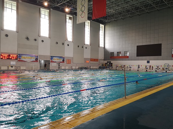 备战2019游泳世锦赛  山东游泳双子星有望再创佳绩