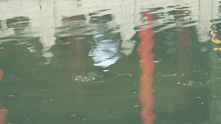 济南趵突泉连续9天达预警红线 地下水位8年来倒数第三低