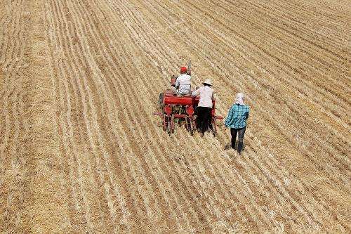 山东玉米播种基本结束 累计已播5573.8万亩