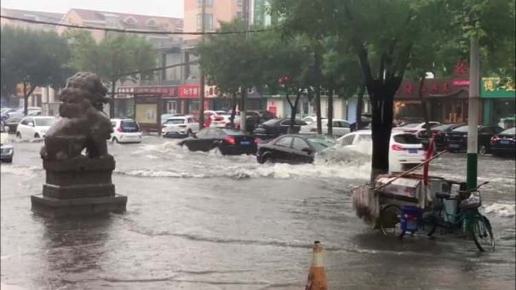 24秒丨滨州博兴突降大雨 车辆驶过积水涌起直接没过车身