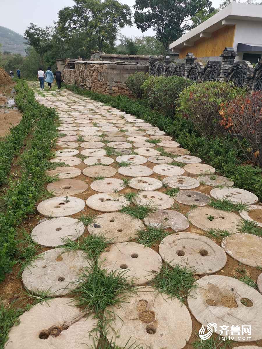 深山岭变网红村泰安八楼村乡村振兴的生动实践