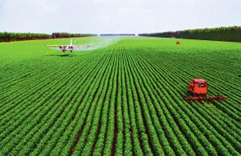 济南公示十大农业特色产业科技创新团队及创新项目名单