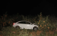 夜半飞车撞断6棵苹果树 这位酒司机还玩了一出“掉包计”