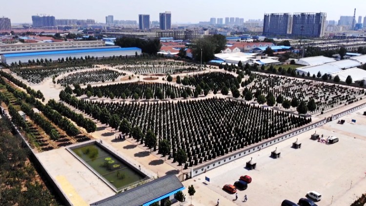 84秒丨4个月整改21.5万个坟头 寿光绿色公墓改造让“归去”更文明
