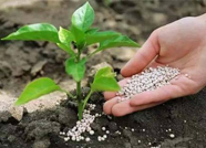 农民朋友注意！滨州抽查18个肥料产品 有3个检验结果不合格