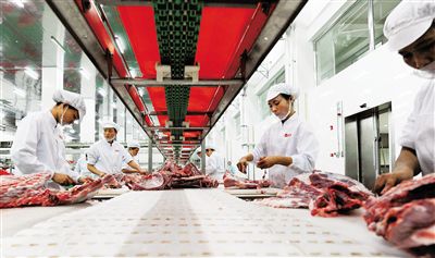 济南莱芜区能繁母猪数量逐月增加 生猪价格或持续维持较高水平