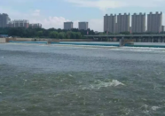 为应对台风“利奇马” 寿光弥河丹河上游多个水库泄洪