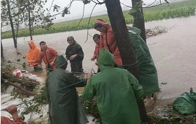 枣庄台儿庄一村子积水严重 110人被紧急转移