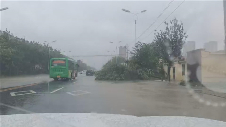 强风暴雨降临滨城区