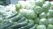 平均菜价涨1角 比去年同期低3分 “利奇马”对寿光蔬菜大棚和蔬菜价格影响甚微
