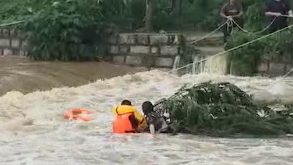 女子被困45米宽河内紧抱柳枝 消防员绕行5公里3小时将其救出