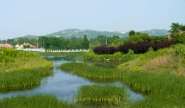 昌乐发布第2号总河长令 确保河湖安全和用水安全