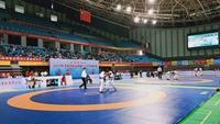 2019全国中国式摔跤U17青年锦标赛聊城举行