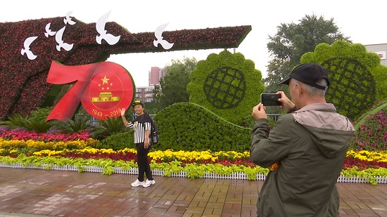 41秒丨济南街头主题花坛成自拍点 游客直呼太幸福！