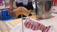 威海艺博会｜非遗传承人展示吹糖技艺：指尖飞速，几十秒做出栩栩如生的小老鼠